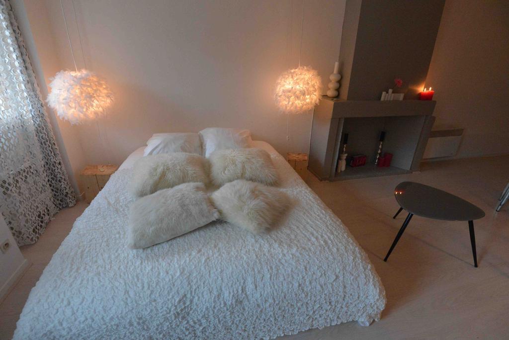 Apartmán "Un Lieu Unique" Le Cozy Annecy Pokoj fotografie